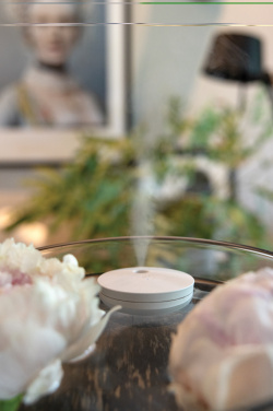 Logotrade Geschäftsgeschenke das Foto: Breevia aufladbarer schwimmender Luftbefeuchter aus RCS rABS